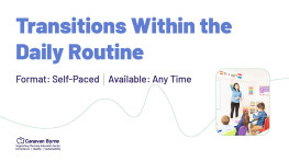 Transitions Within the Daily Routine