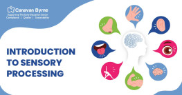 Introduction to Sensory Processing